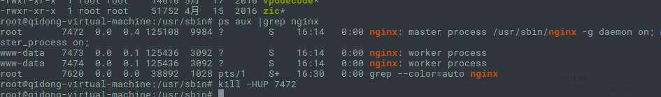 nginx